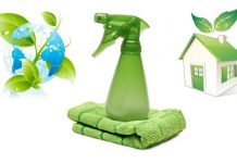 Green Cleaning Services: Eco-Friendly Cleaning Solutions for Your Home or Office