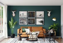 Interior Design for Renters: How to Personalize Your Space without Breaking the Rules